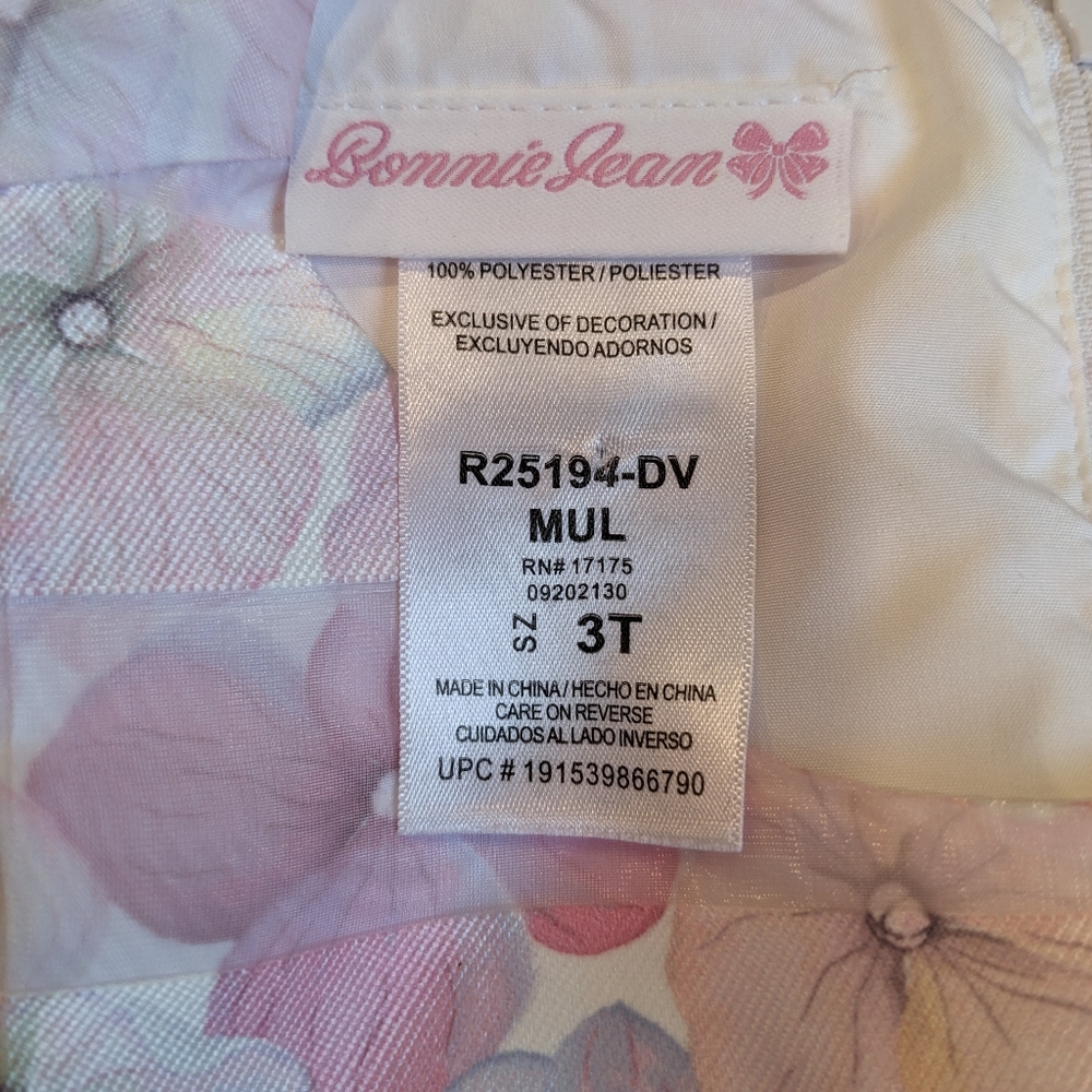 EUC....Bonnie Jean Organza Party Dress Size 3T - Picture 3 of 7